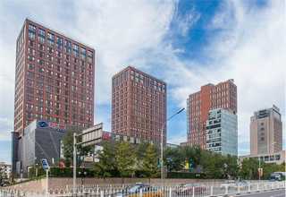 松原网站建设崇左网站建设